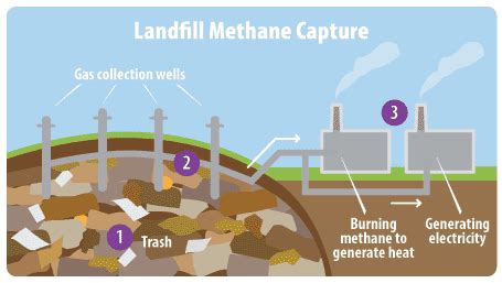 how to capture methane gas|methane capture from animal waste.